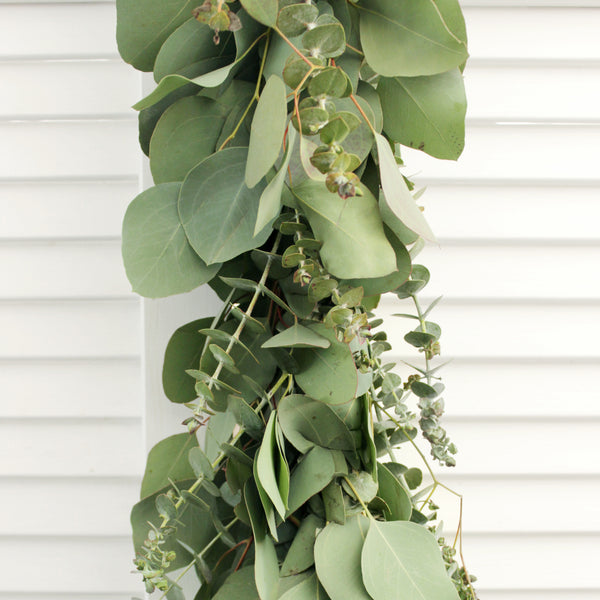 Handmade Fresh Silver Dollar & Baby Blue Eucalyptus Garland