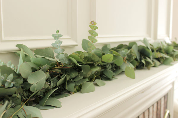 Handmade Fresh Silver Dollar & Baby Blue Eucalyptus Garland