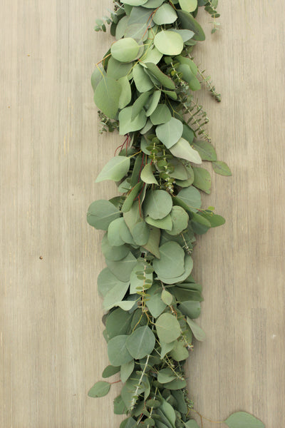 Handmade Fresh Silver Dollar & Baby Blue Eucalyptus Garland