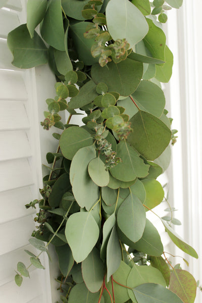 Handmade Fresh Silver Dollar & Baby Blue Eucalyptus Garland