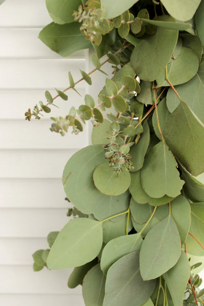 Handmade Fresh Silver Dollar & Baby Blue Eucalyptus Garland