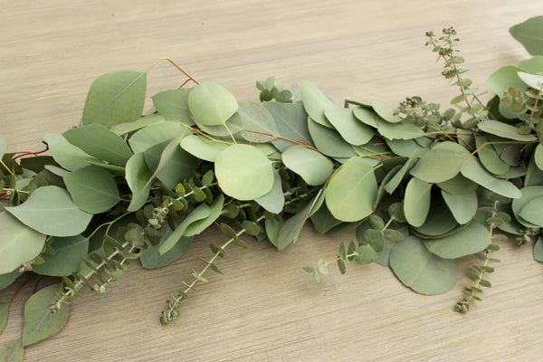 Handmade Fresh Silver Dollar & Baby Blue Eucalyptus Garland