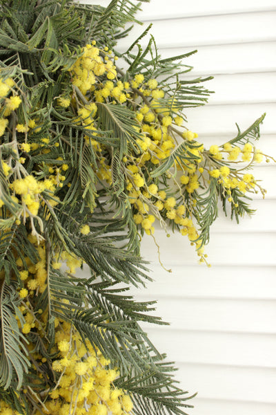 Fresh Acacia Flowers - 5-8 stems - DIY Wedding | Showers | Event | Holidays