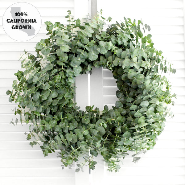 Fresh Handmade Baby Blue Eucalyptus Wreath