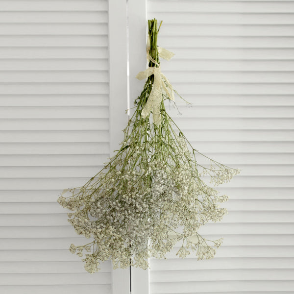 Fresh Baby’s Breath Gypsophila - 10 stems (free shipping)