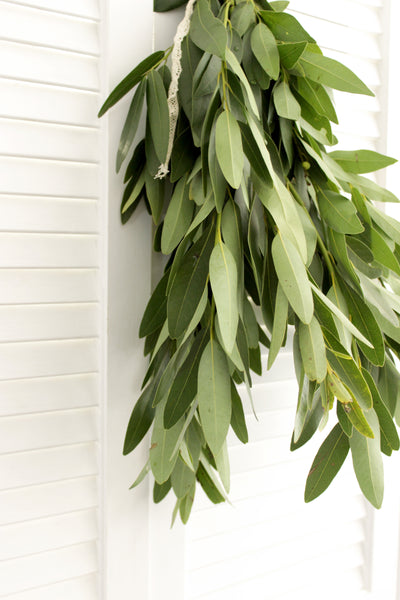 Fresh Cut Bay Leaf Greens