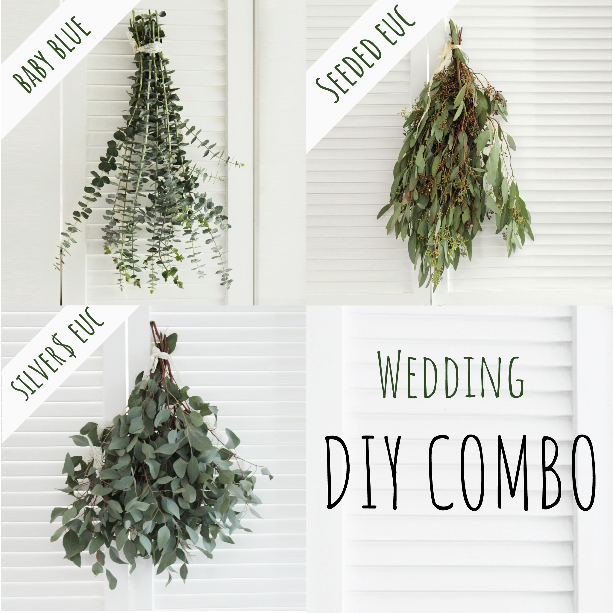 Eucalyptus Combo (free shipping) - DIY Wedding | Showers | Event | Holidays