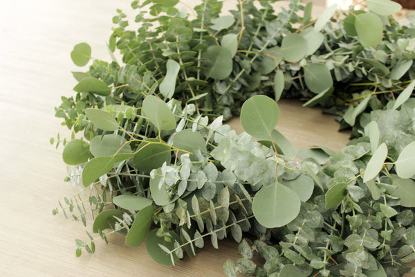 Fresh Handmade Farmhouse Eucalyptus Wreath