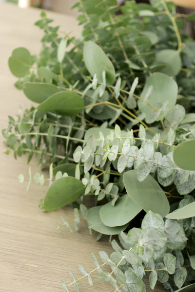 Fresh Handmade Farmhouse Eucalyptus Wreath