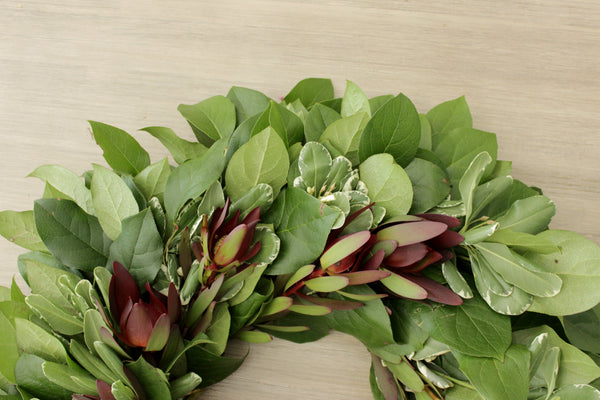 Fresh Handmade Green Lover Wreath