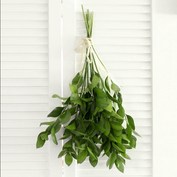 Fresh Cut Israeli Ruscus - 10 stems (free shipping) - DIY Wedding | Showers | Event | Holidays
