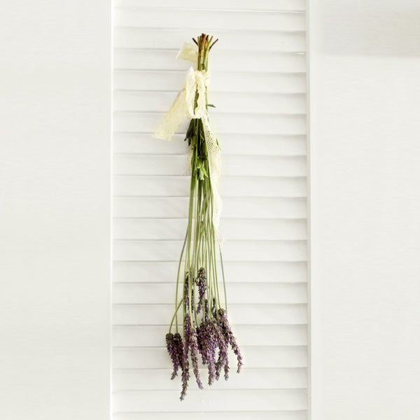 Fresh English Lavender Flower - 10 stems