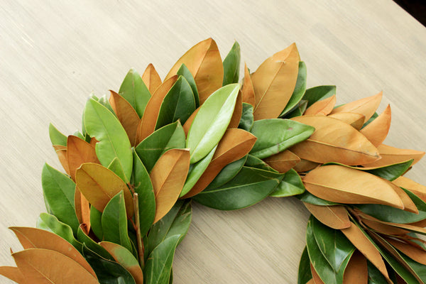 Fresh Handmade Magnolia Wreath