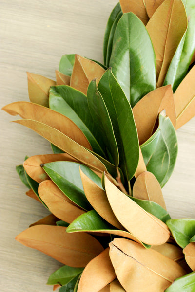 Fresh Handmade Magnolia Wreath