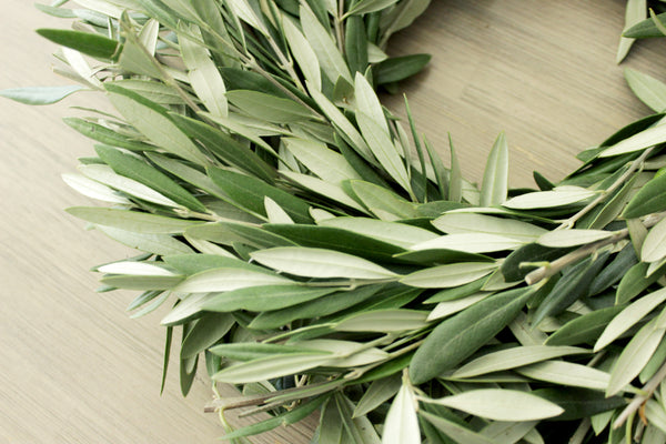 Fresh Handmade Olive Branch Wreath