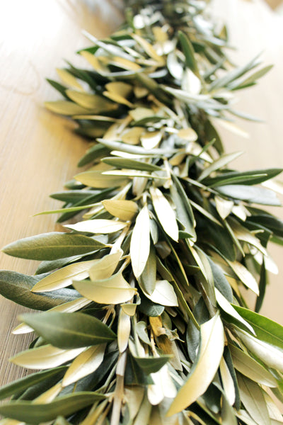 Handmade Fresh Olive Branch Garland