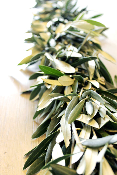 Handmade Fresh Olive Branch Garland