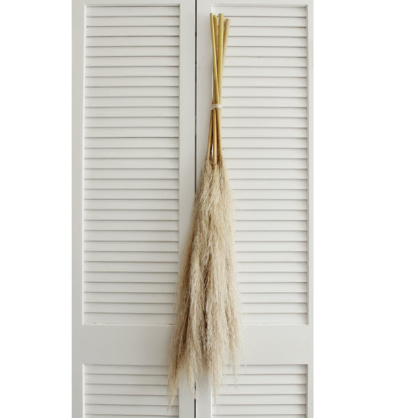 48” Tall Natural Beige Pampas Grass – 5 stems