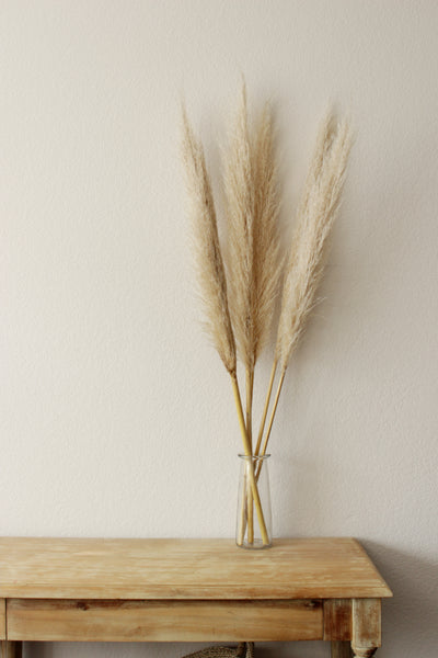48” Tall Natural Beige Pampas Grass – 5 stems