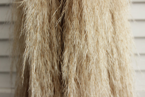 48” Tall Natural Beige Pampas Grass – 5 stems