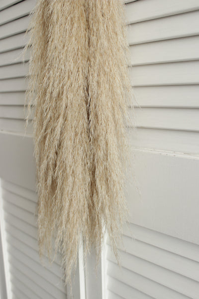 48” Tall Natural Beige Pampas Grass – 5 stems