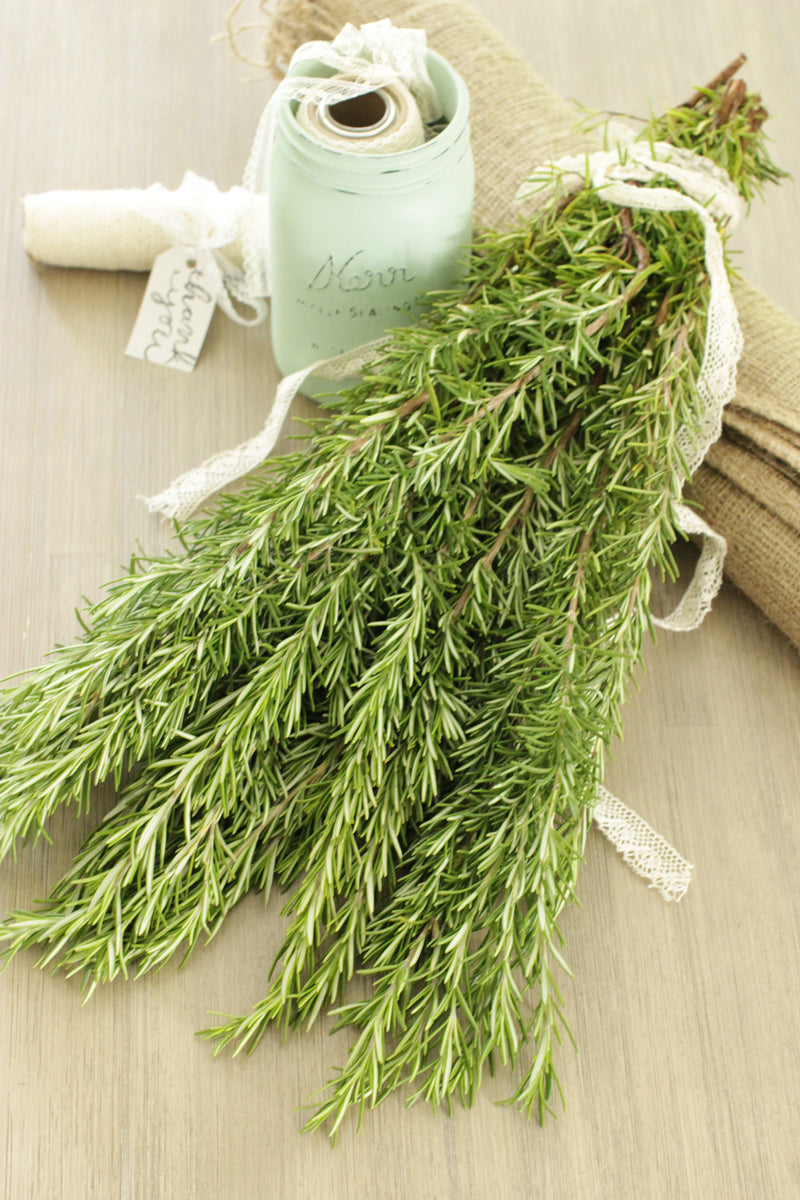 Rosemary Herbs Greenery DIY Wedding Flowers Free Shipping