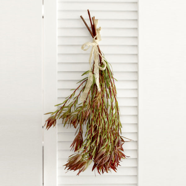 Safari Sunset Leucadenron (free shipping) - DIY Wedding | Showers | Event | Holidays