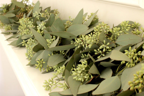 Handmade Fresh Seeded Eucalyptus Garland