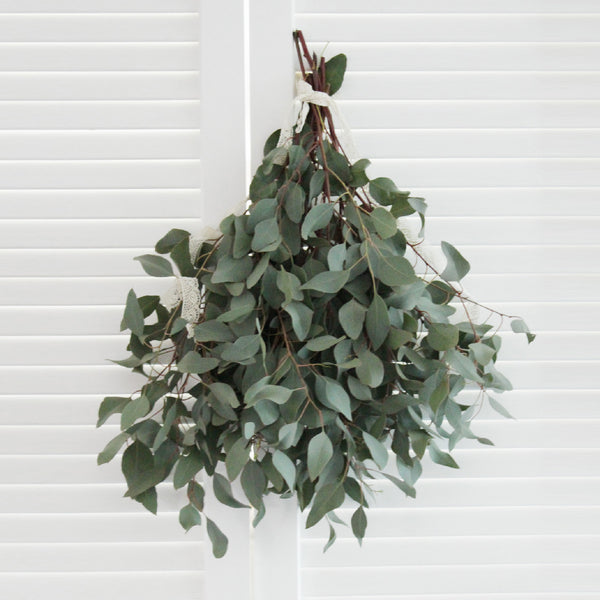 Eucalyptus Combo (free shipping) - DIY Wedding | Showers | Event | Holidays