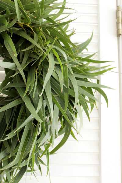 Fresh Handmade Willow Eucalyptus Wreath