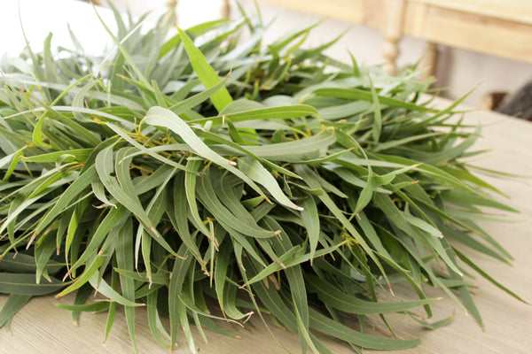 Fresh Handmade Willow Eucalyptus Wreath