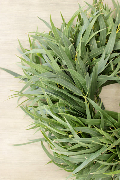Fresh Handmade Willow Eucalyptus Wreath