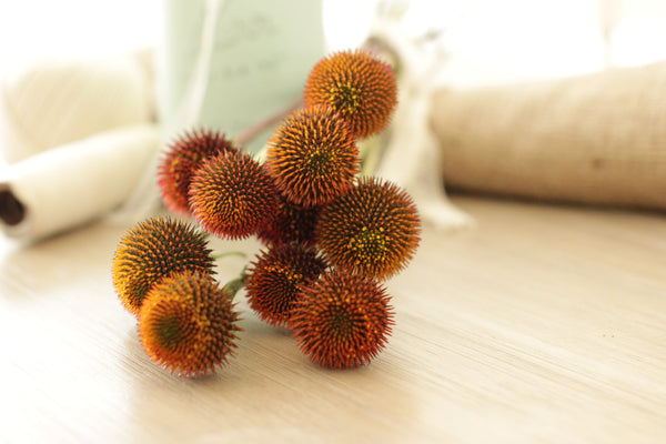 Fresh Echinacea Pods 10 stems (free shipping) - DIY Wedding | Showers | Event | Holidays