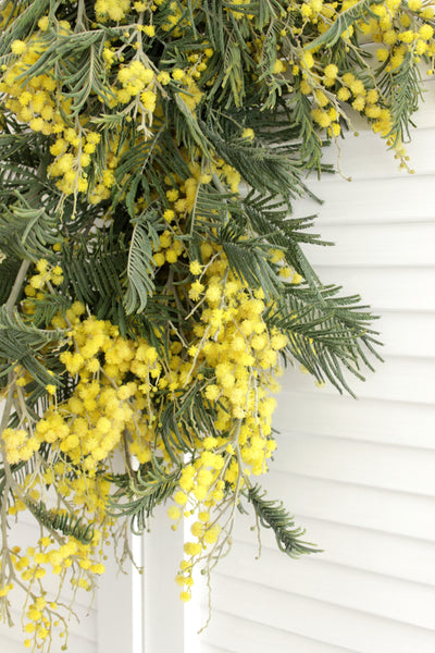 Fresh Acacia Flowers - 5-8 stems - DIY Wedding | Showers | Event | Holidays