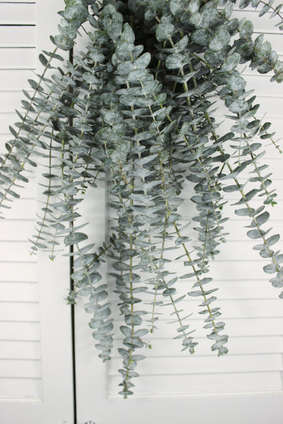 Baby Blue Eucalyptus Shower Hanger Arrangement DIY Wedding Gifts