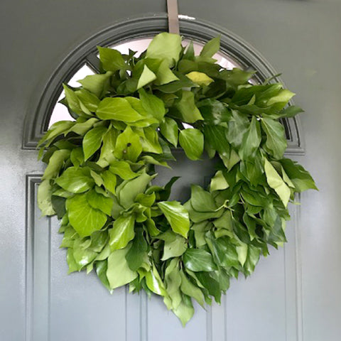 Fresh Handmade Bush Ivy Wreath