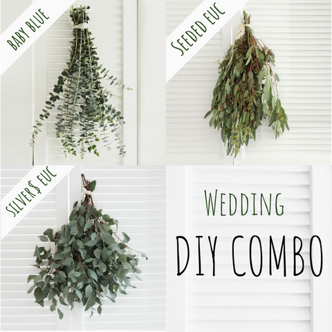Eucalyptus Combo (free shipping) - DIY Wedding | Showers | Event | Holidays