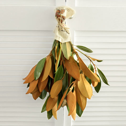 Fresh Magnolia branches - 5 stems (free shipping) - DIY Wedding  | Showers  | Event  | Holidays