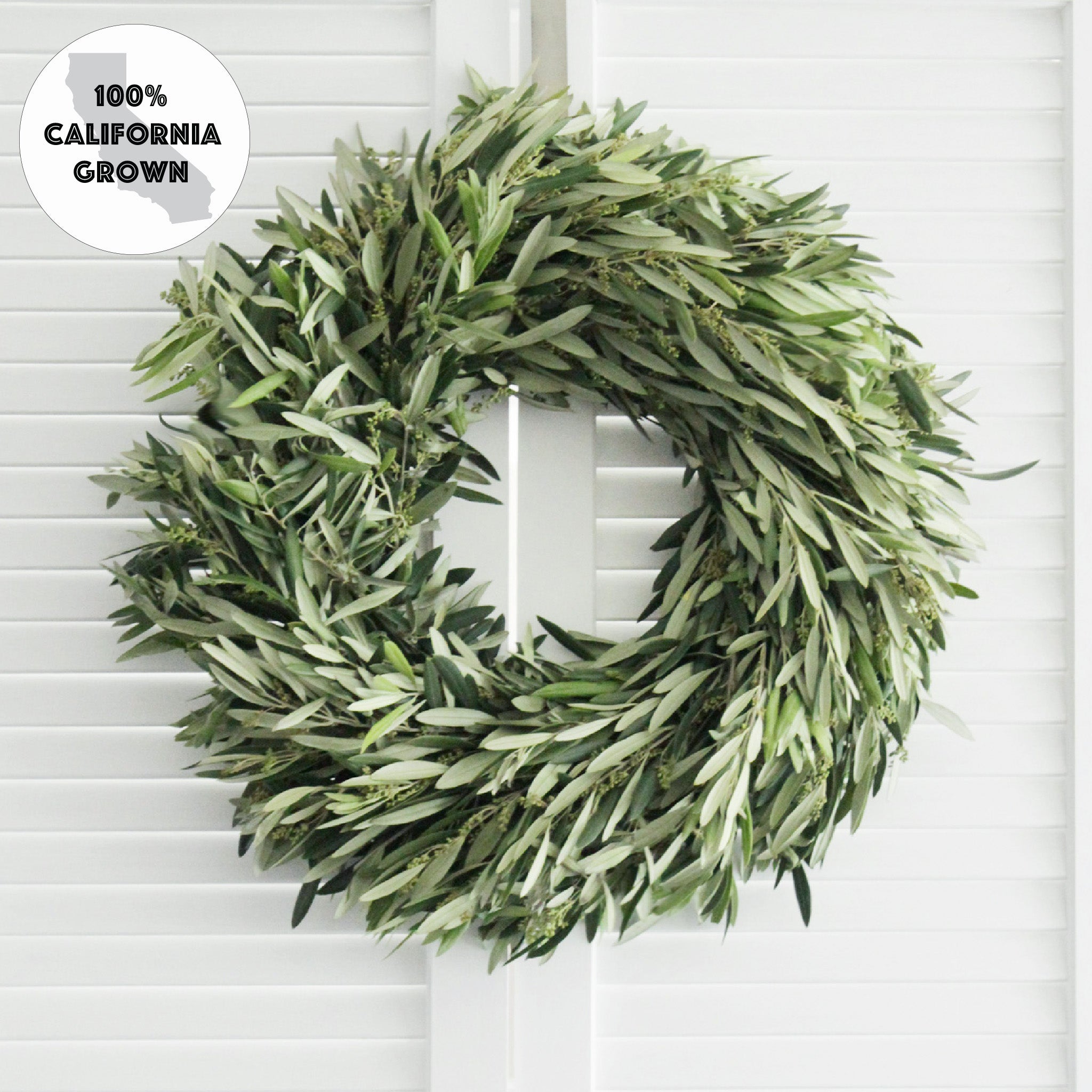The Olive Branch Wreath & Garland