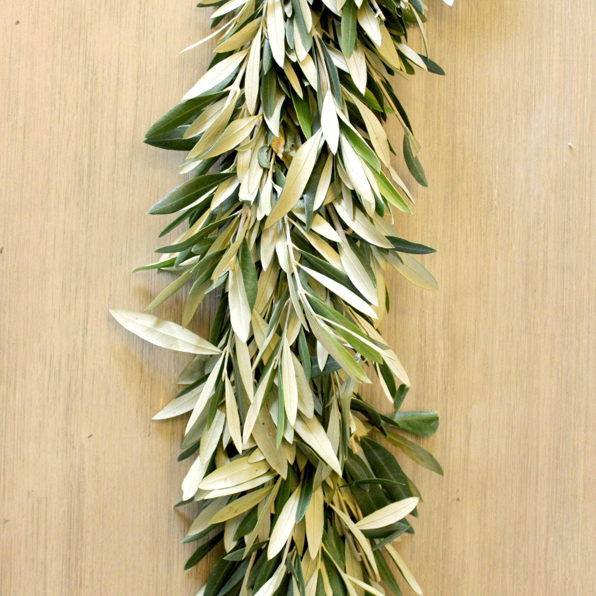 DIY Olive and Eucalyptus Branch Garland