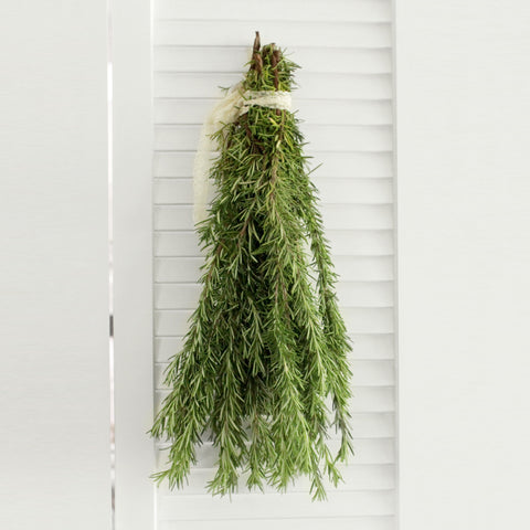 Fresh Cut Rosemary Herbs 8-10 stems (free shipping) - DIY Wedding | Showers | Event | Holidays