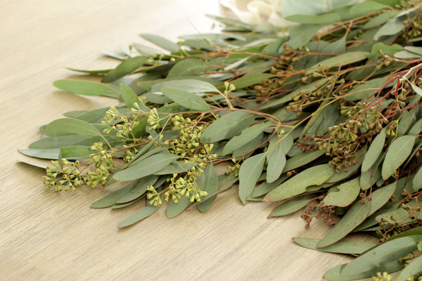 Seeded Eucalyptus  - DIY Wedding  | Showers  | Event  | Holidays