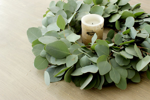 Fresh Handmade Silver Dollar Eucalyptus Wreath