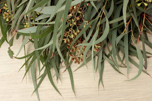 Fresh Handmade Willow Eucalyptus + Seeded Eucalyptus Wreath